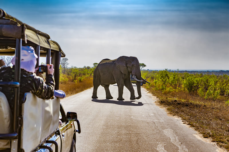 THE WONDERS OF SOUTH AFRICA