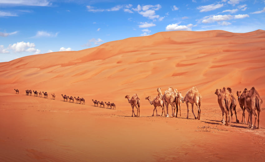 THE DESERT, THE CITY & ABU DHABI