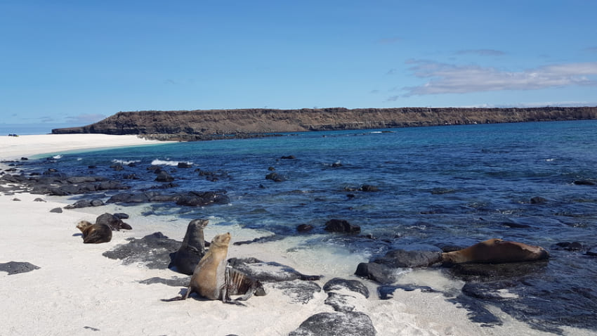 QUITO & THE GALAPAGOS ISLANDS