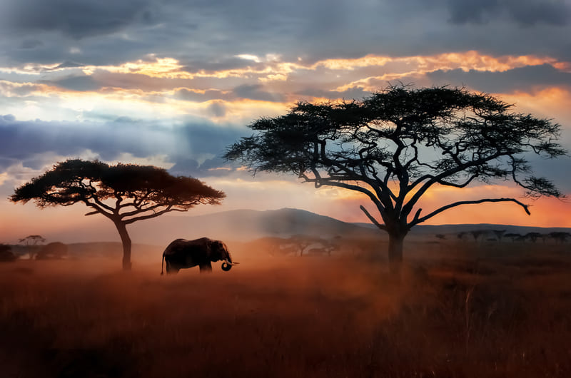 FASCINATING KENYA & TANZANIA