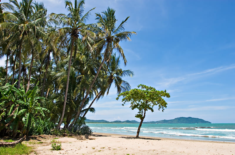 NATURAL WONDERS OF COSTA RICA