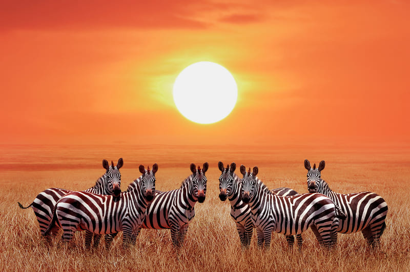 AUTHENTIC TANZANIA