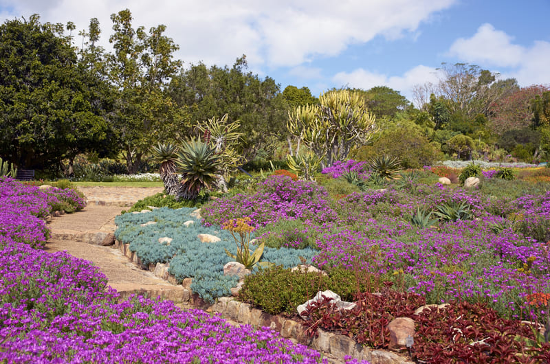 FASCINATING GARDEN ROUTE