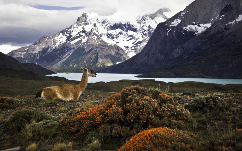 INFINITE PATAGONIA