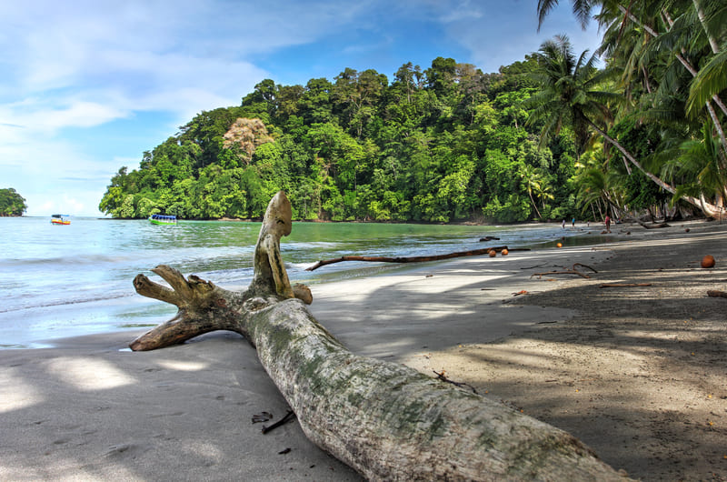 DIVERSE PANAMA