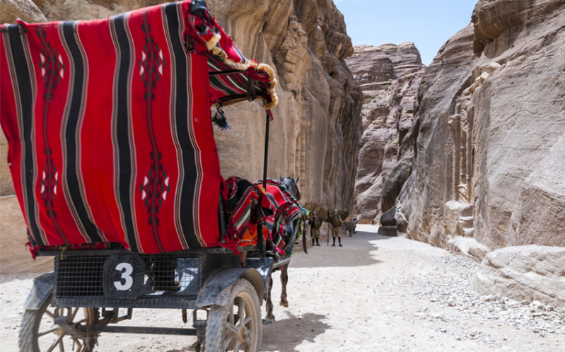 THE NABATEANS