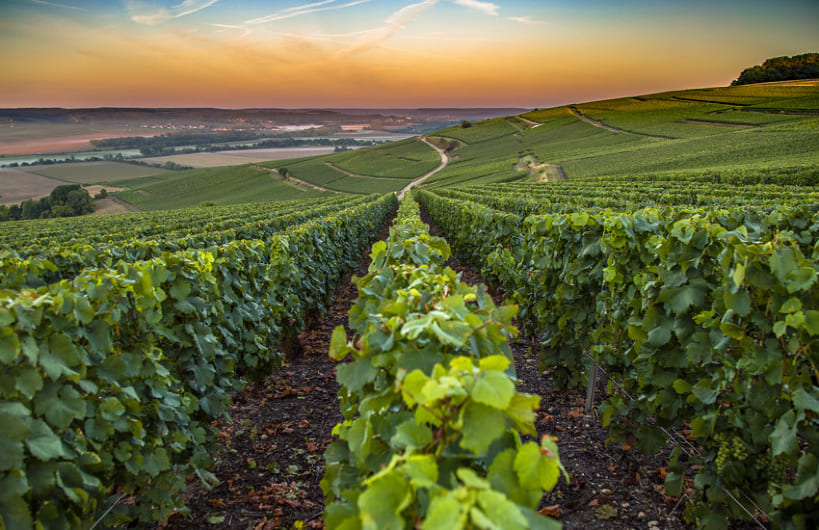 THE GEMS OF NORMANDY & THE CHAMPAGNE REGION