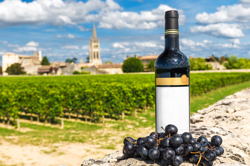 FRANCE'S FINE WINES & CUISINE