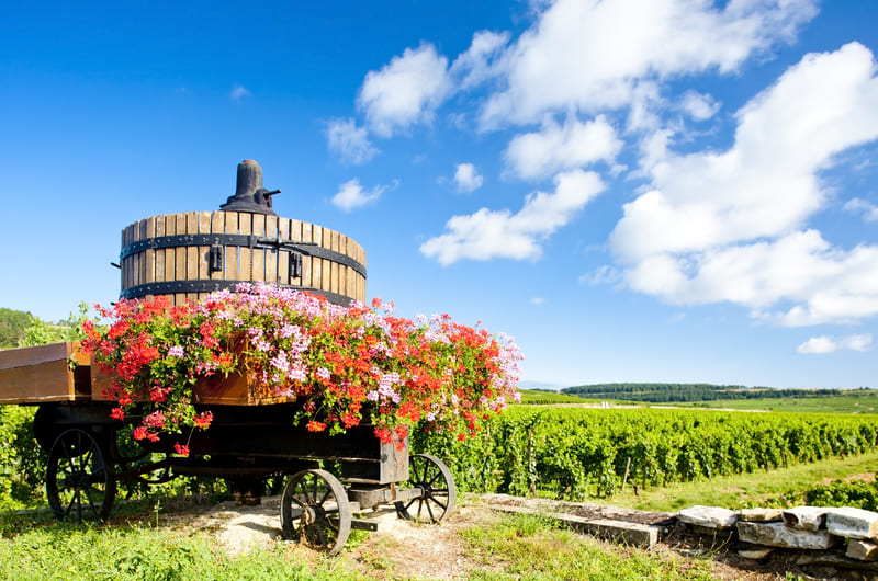 DISCOVER PARIS & BURGUNDY